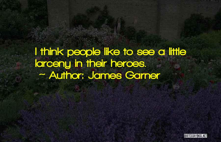 Larceny Quotes By James Garner