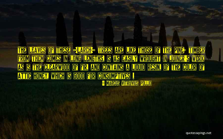 Larch Trees Quotes By Marcus Vitruvius Pollio Larch Trees Quotes By Marcus Vitruvius Pollio