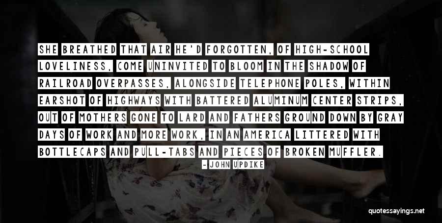 Lard Quotes By John Updike