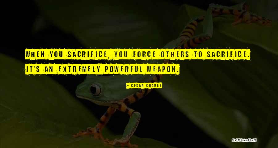 Lardani Drywall Quotes By Cesar Chavez Lardani Drywall Quotes By Cesar Chavez
