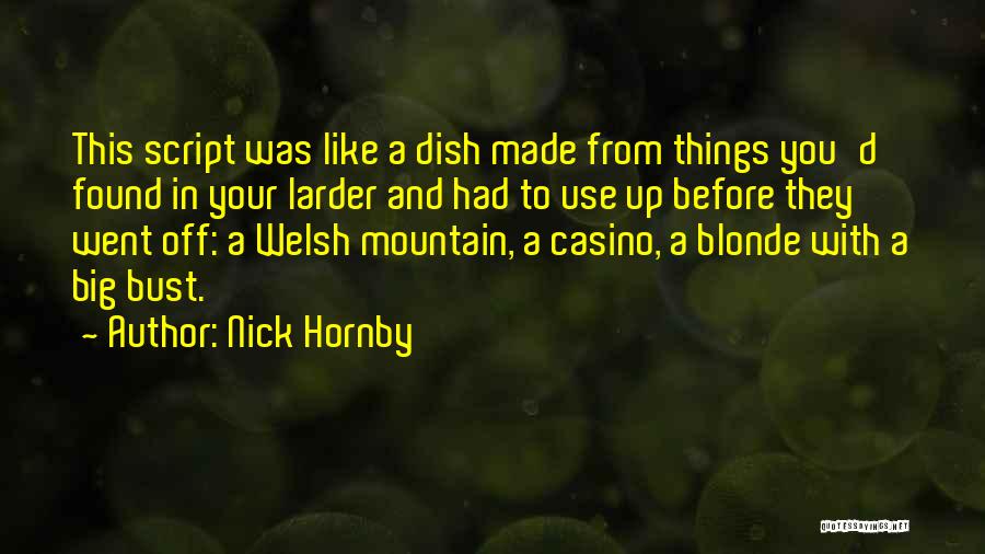 Larder Quotes By Nick Hornby