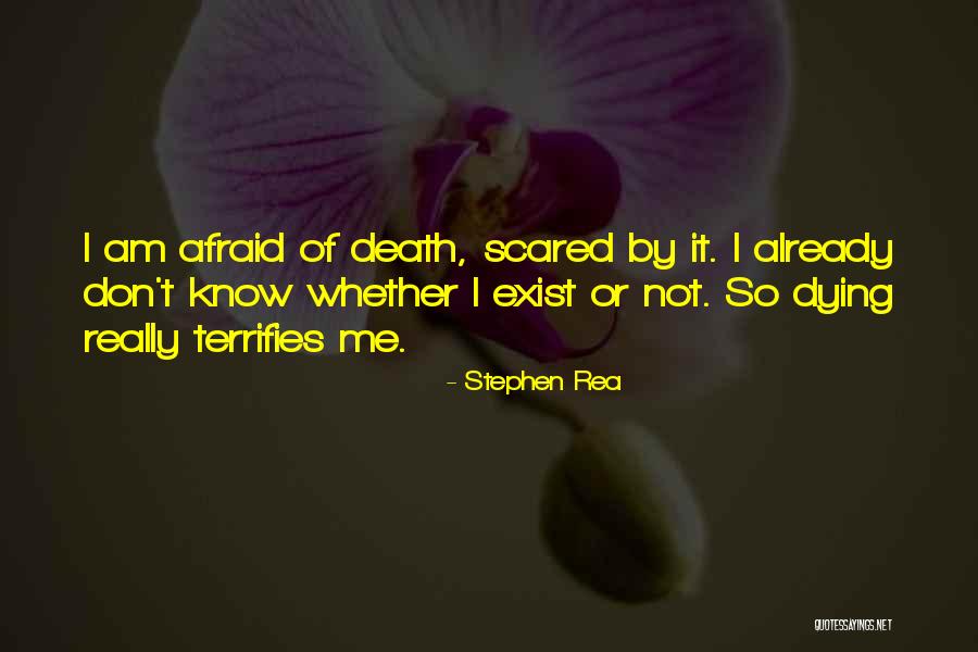 Larelle Gray Quotes By Stephen Rea Larelle Gray Quotes By Stephen Rea