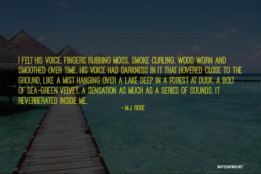 Larfleeze Lego Quotes By M.J. Rose Larfleeze Lego Quotes By M.J. Rose