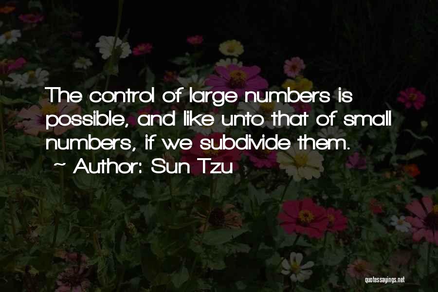 Large And Small Quotes By Sun Tzu