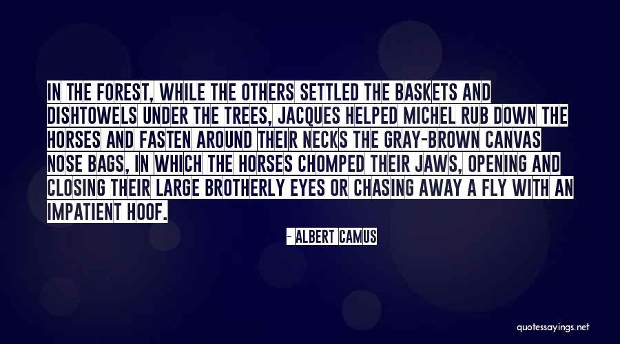 Large Canvas Quotes By Albert Camus Large Canvas Quotes By Albert Camus