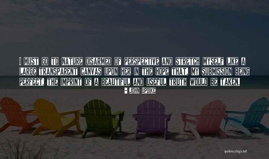 Large Canvas Quotes By John Updike Large Canvas Quotes By John Updike