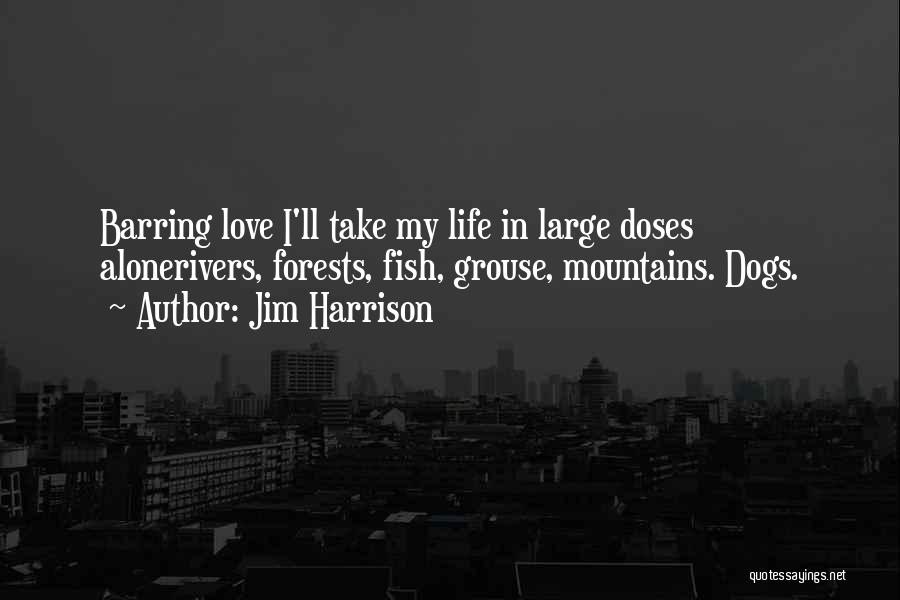 Large Dogs Quotes By Jim Harrison