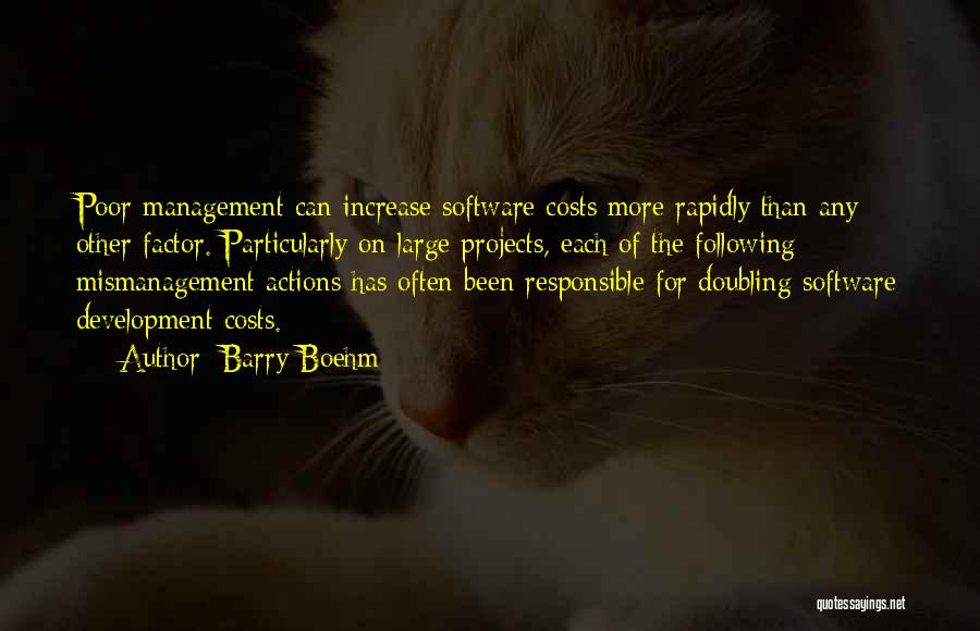 Large Projects Quotes By Barry Boehm