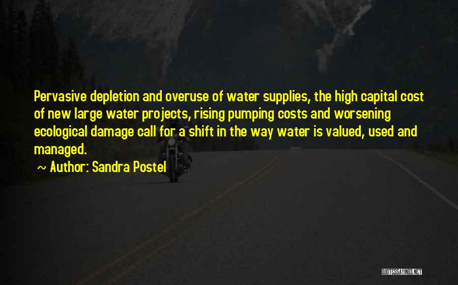 Large Projects Quotes By Sandra Postel