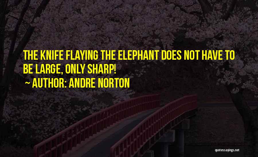 Large Size Quotes By Andre Norton