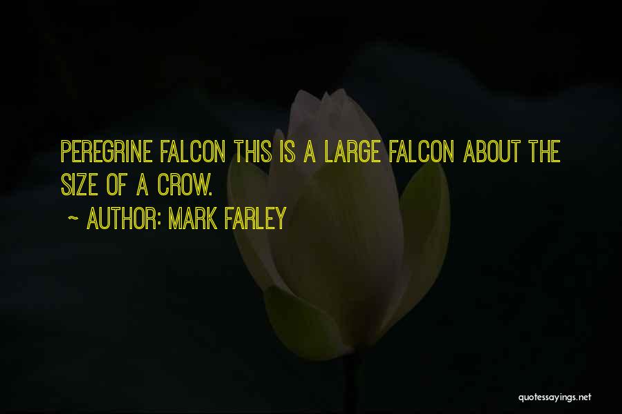 Large Size Quotes By Mark Farley