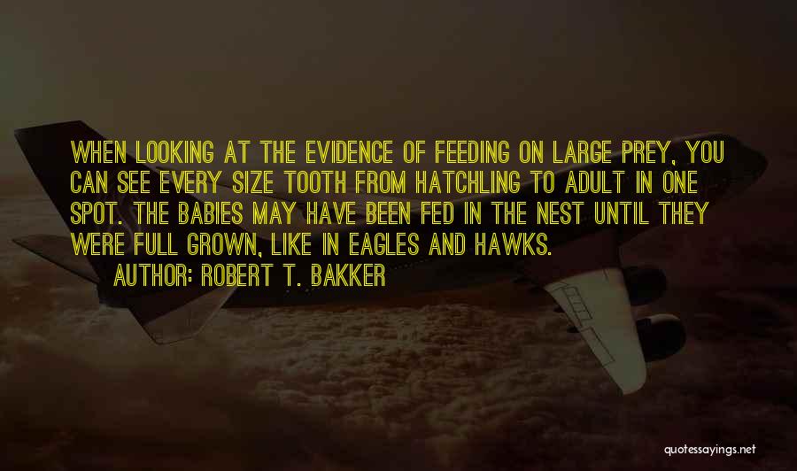 Large Size Quotes By Robert T. Bakker