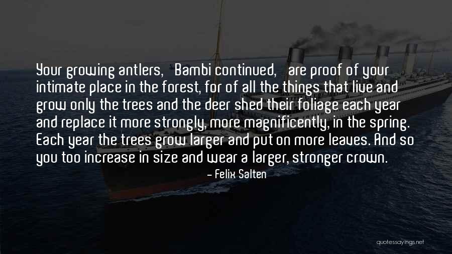 Larger On Quotes By Felix Salten Larger On Quotes By Felix Salten