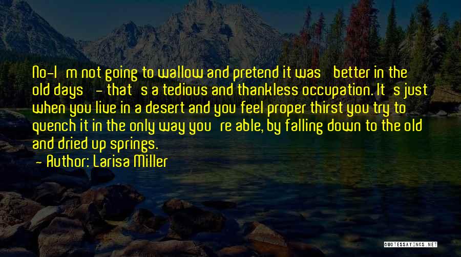 Larisa Miller Quotes 1674510