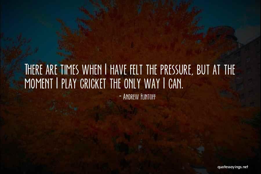 Larken Logistics Quotes By Andrew Flintoff Larken Logistics Quotes By Andrew Flintoff