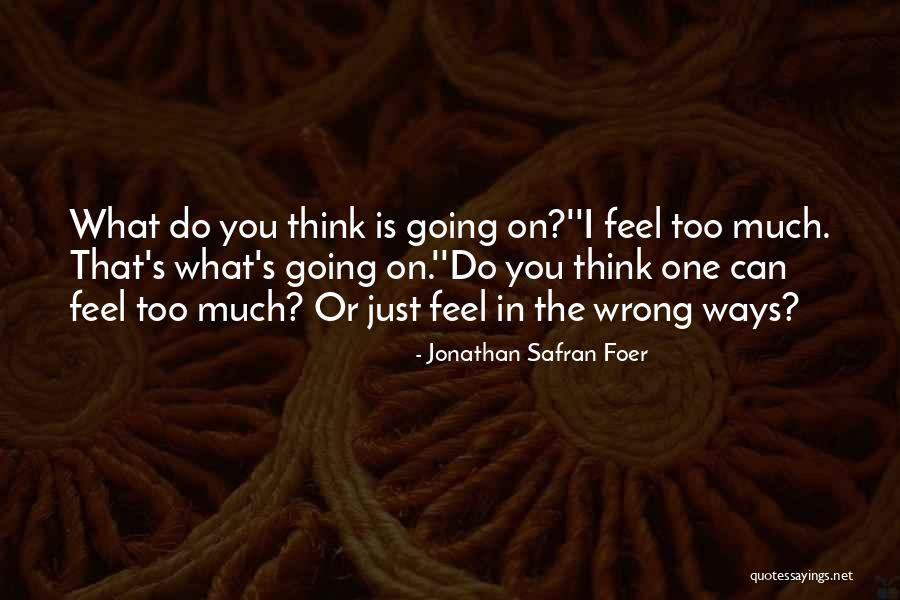 Larmco Quotes By Jonathan Safran Foer Larmco Quotes By Jonathan Safran Foer