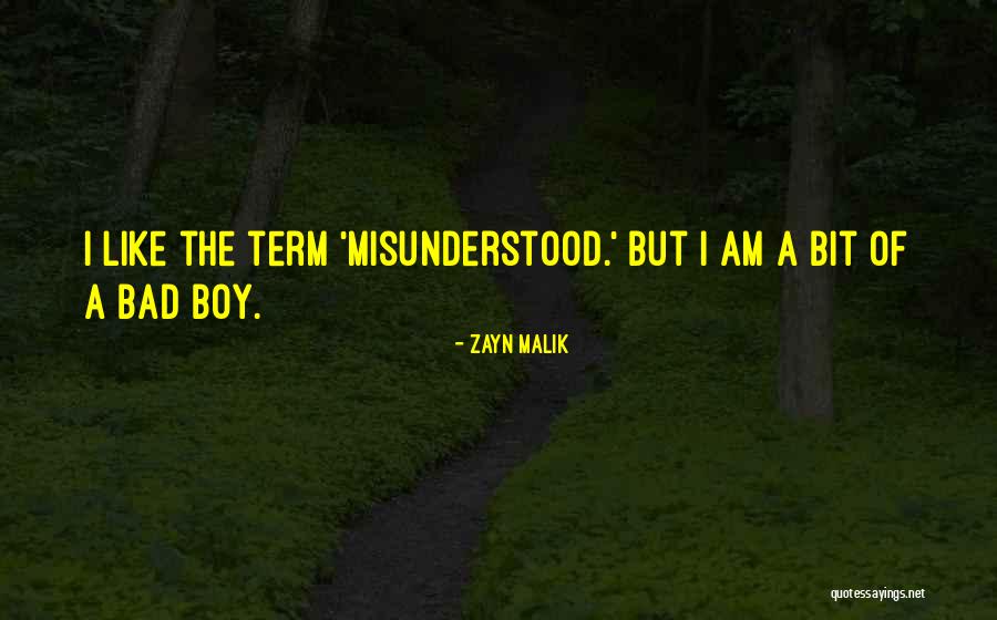 Laronde Elementary Quotes By Zayn Malik