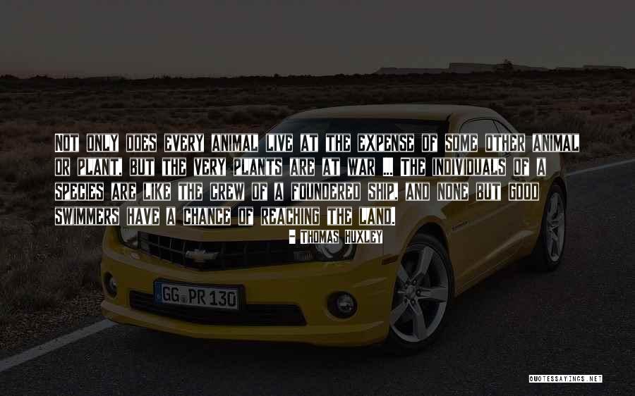 Larrans Key Osrs Quotes By Thomas Huxley Larrans Key Osrs Quotes By Thomas Huxley