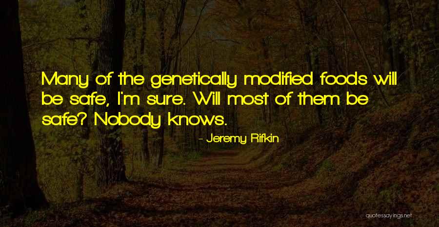 Larrazabal Christopher Quotes By Jeremy Rifkin Larrazabal Christopher Quotes By Jeremy Rifkin