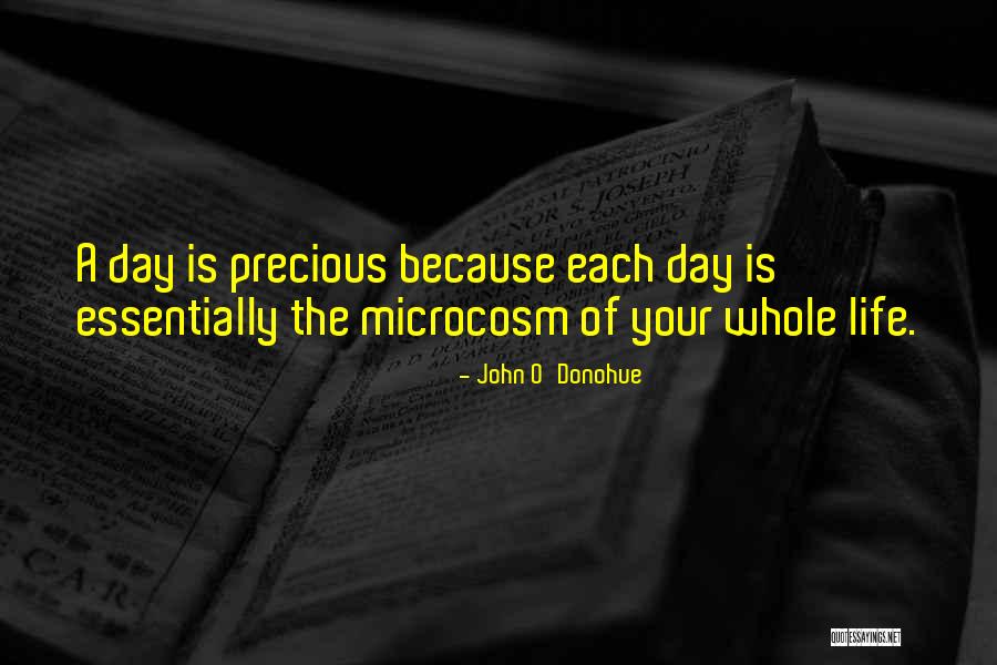 Larry Ally Mcbeal Quotes By John O'Donohue Larry Ally Mcbeal Quotes By John O'Donohue