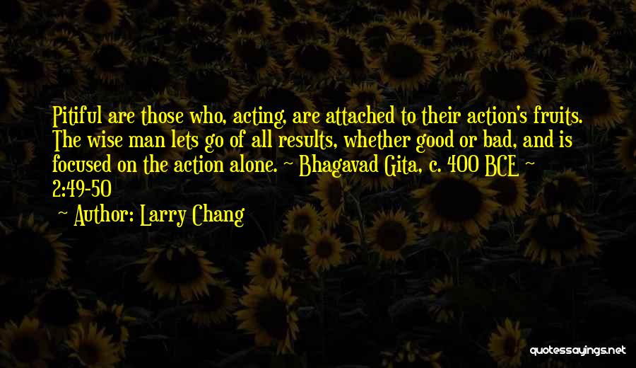 Larry Chang Quotes 2038295