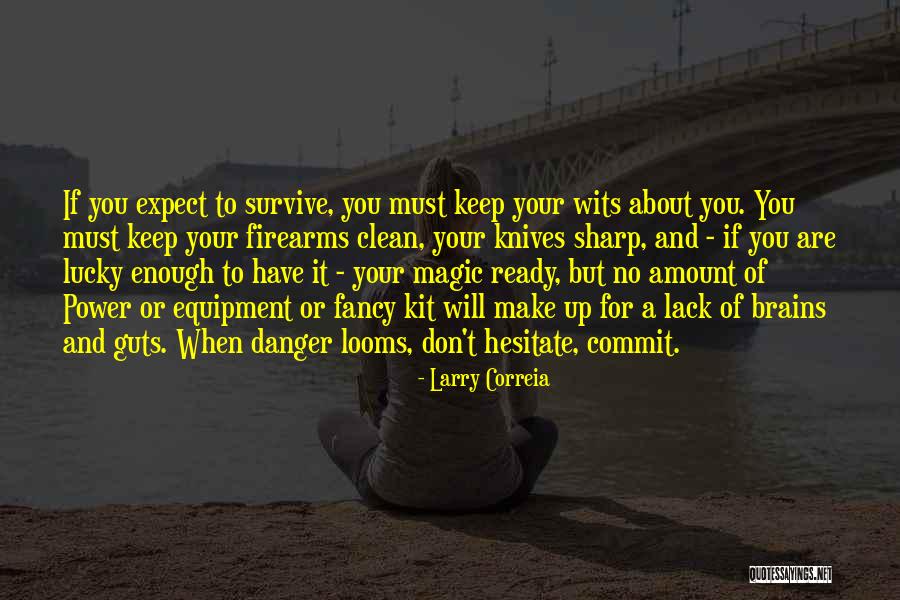 Larry Correia Quotes 750154