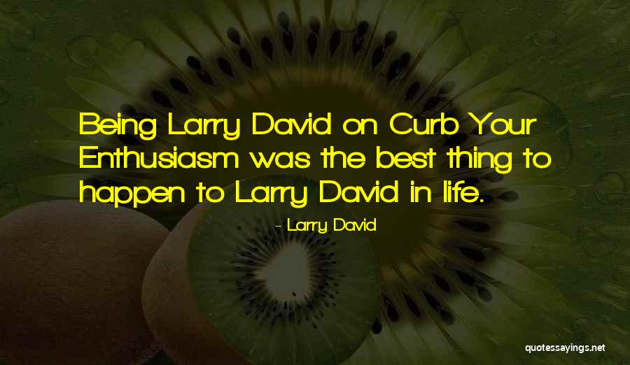 Larry David Quotes 310587