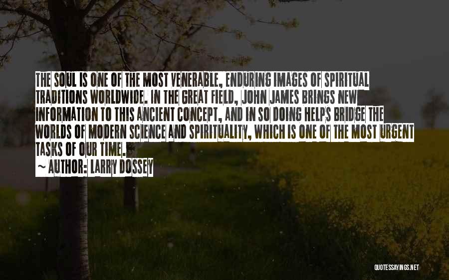 Larry Dossey Quotes 251992