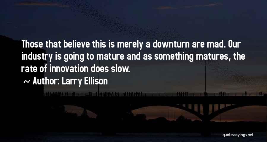 Larry Ellison Quotes 2009218