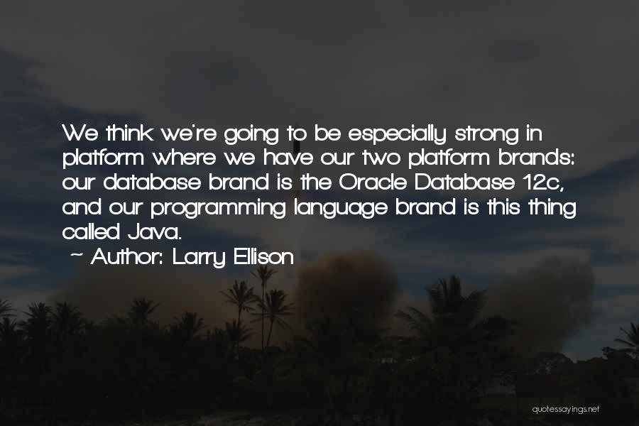 Larry Ellison Quotes 360428