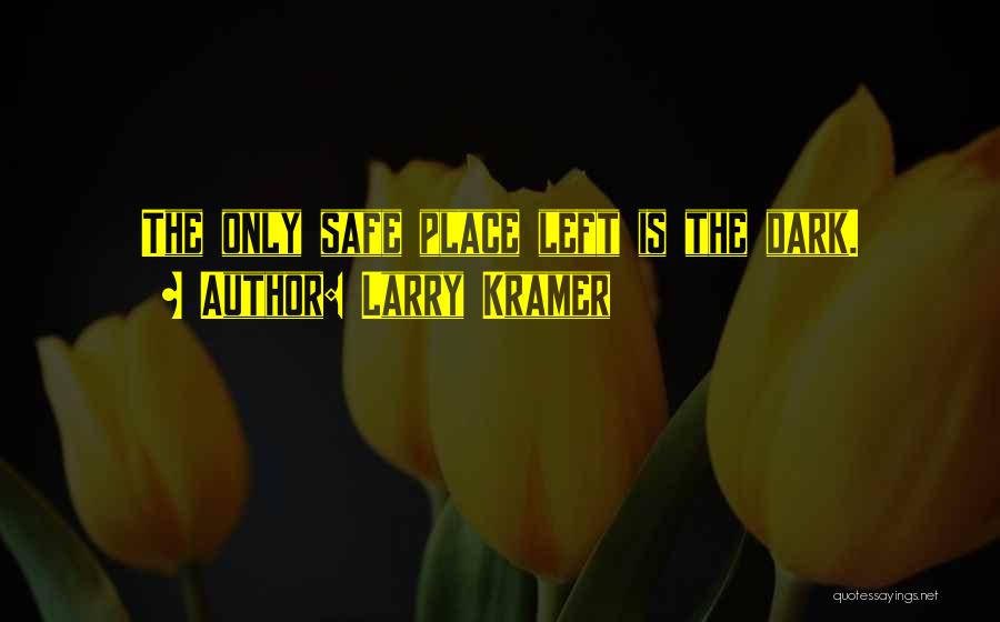 Larry Kramer Quotes 1120967