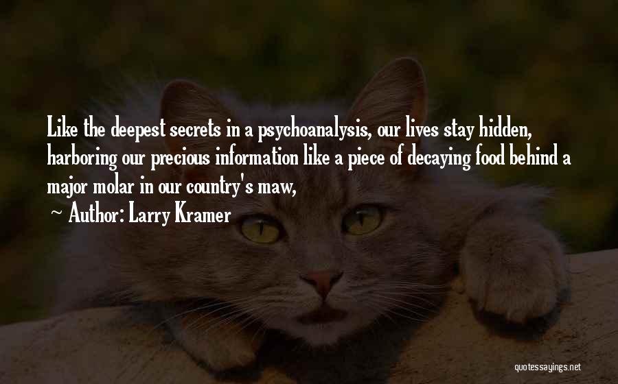 Larry Kramer Quotes 1712948