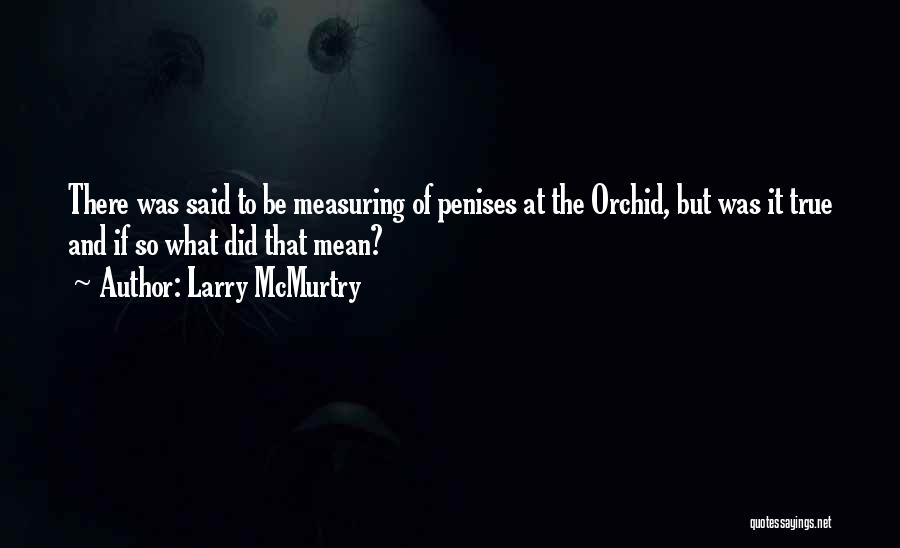 Larry McMurtry Quotes 322764