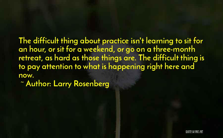 Larry Rosenberg Quotes 78025