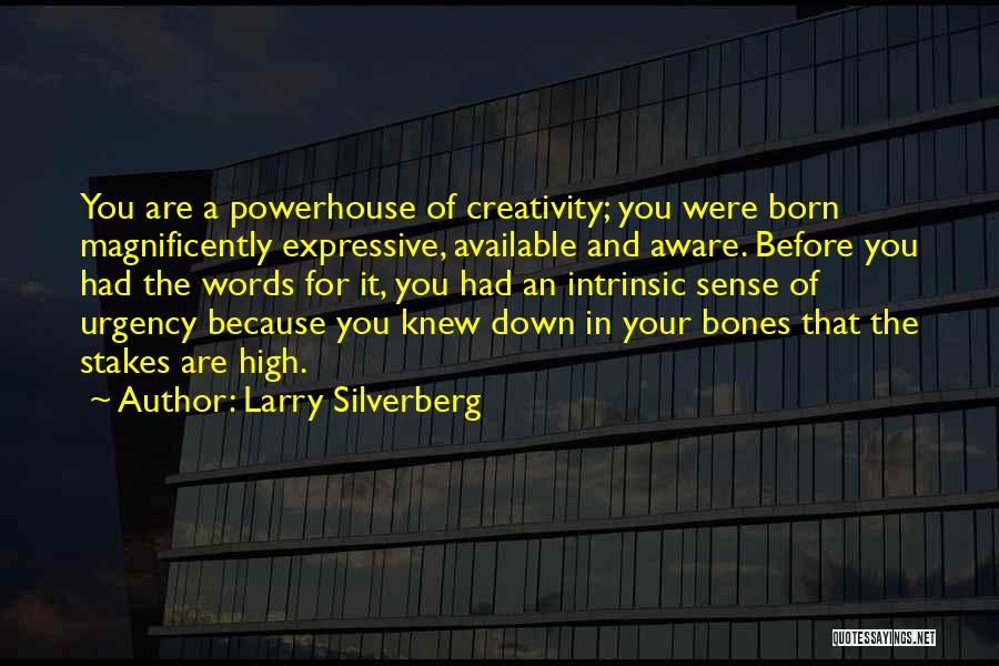 Larry Silverberg Quotes 204453