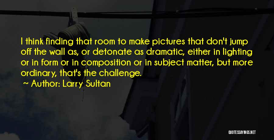 Larry Sultan Quotes 1119479