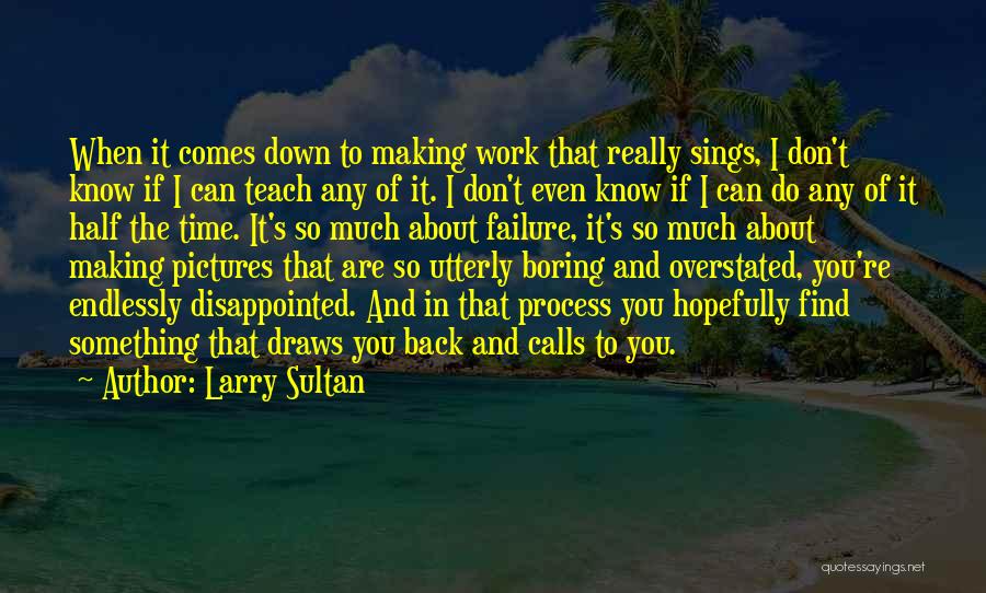 Larry Sultan Quotes 150749