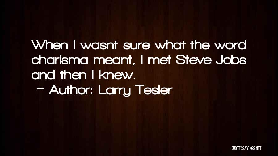 Larry Tesler Quotes 1717339