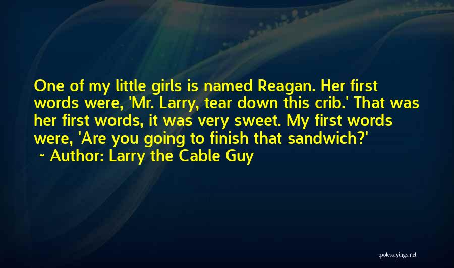 Larry The Cable Guy Quotes 1134371