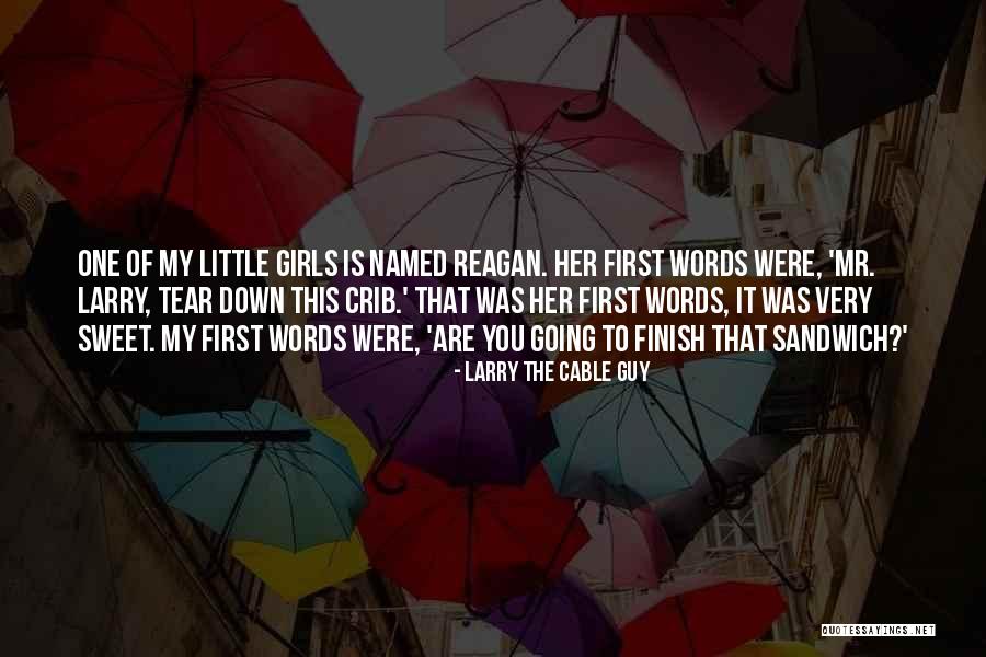 Larry The Cable Quotes By Larry The Cable Guy Larry The Cable Quotes By Larry The Cable Guy