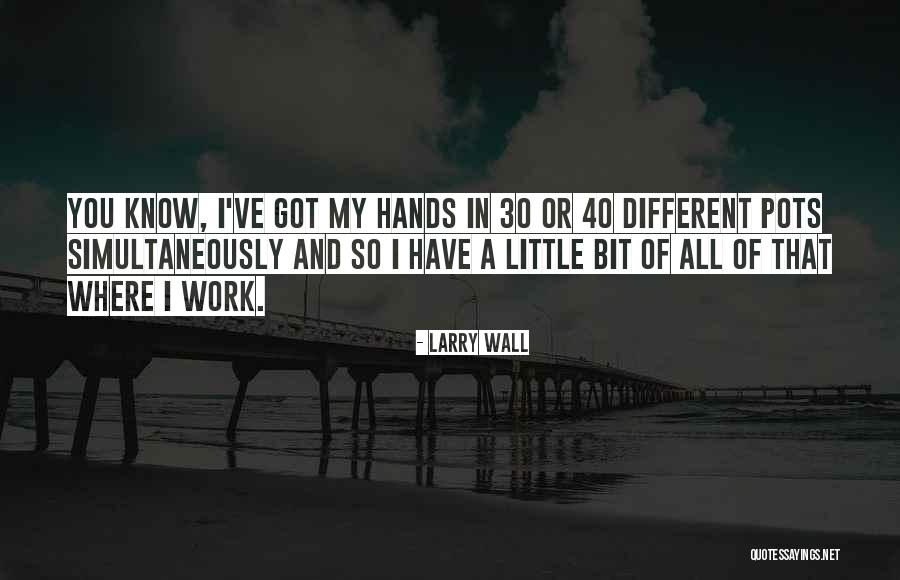 Larry Wall Quotes 1509498 Larry Wall Quotes 1509498
