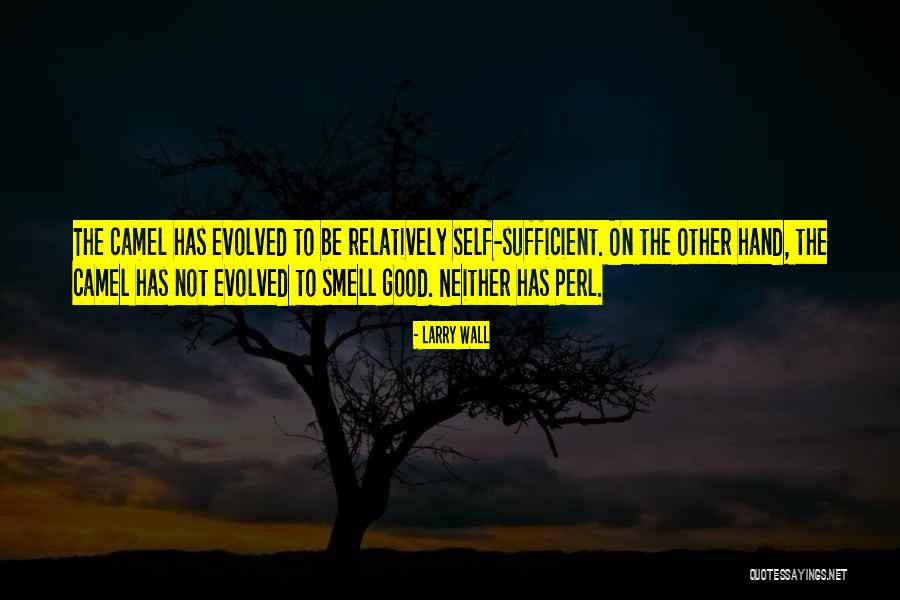 Larry Wall Quotes 384861 Larry Wall Quotes 384861