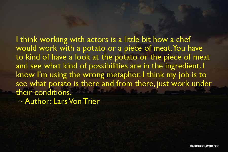 Lars Von Trier Quotes 2007838