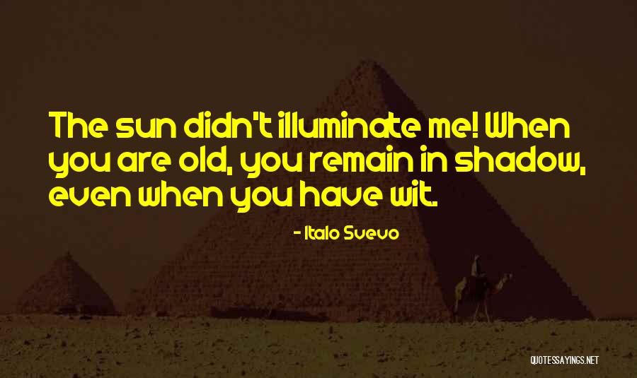 Larschan Lab Quotes By Italo Svevo Larschan Lab Quotes By Italo Svevo