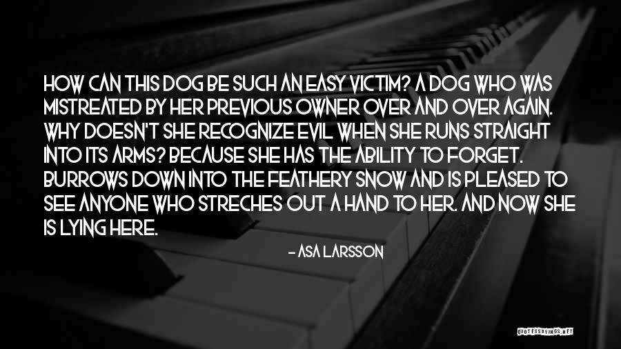 Larsson Quotes By Asa Larsson Larsson Quotes By Asa Larsson