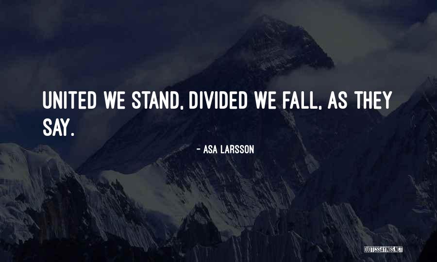Larsson Quotes By Asa Larsson