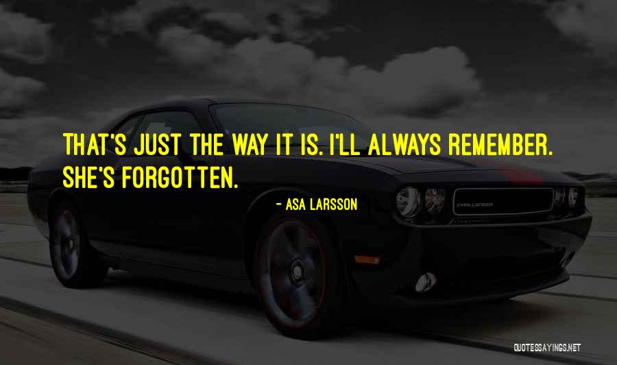 Larsson Quotes By Asa Larsson Larsson Quotes By Asa Larsson