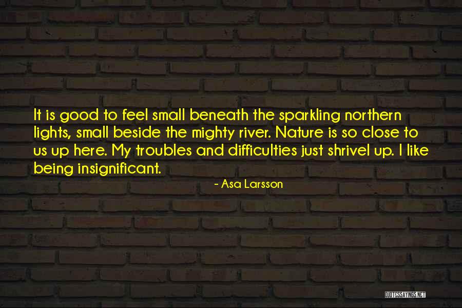 Larsson Quotes By Asa Larsson