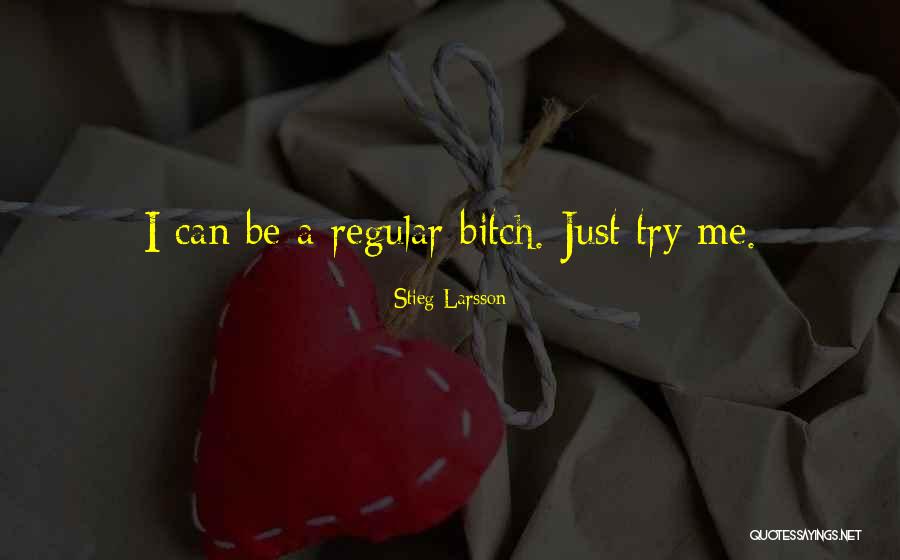 Larsson Quotes By Stieg Larsson
