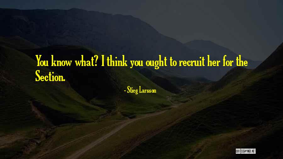 Larsson Quotes By Stieg Larsson